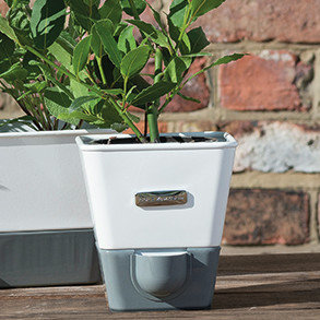 cole & mason indoor herb garden self-watering carbon steel pot cole & mason indoor herb garden self-watering carbon steel pot