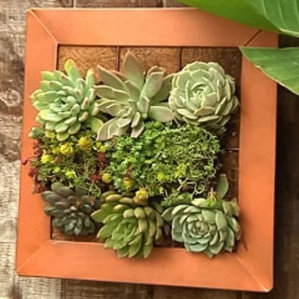 Wall Planters & Vertical Gardens You'll Love