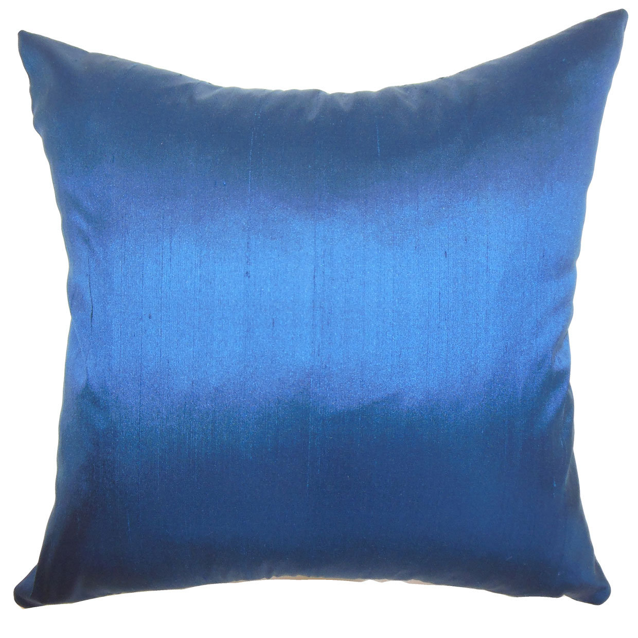 House of Hampton Sheerness Plain Silk Throw Pillow & Reviews Wayfair