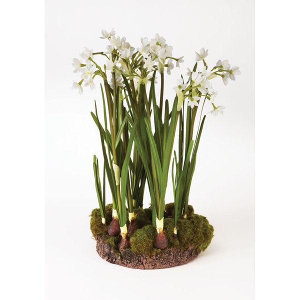 Faux Paperwhites Wayfair