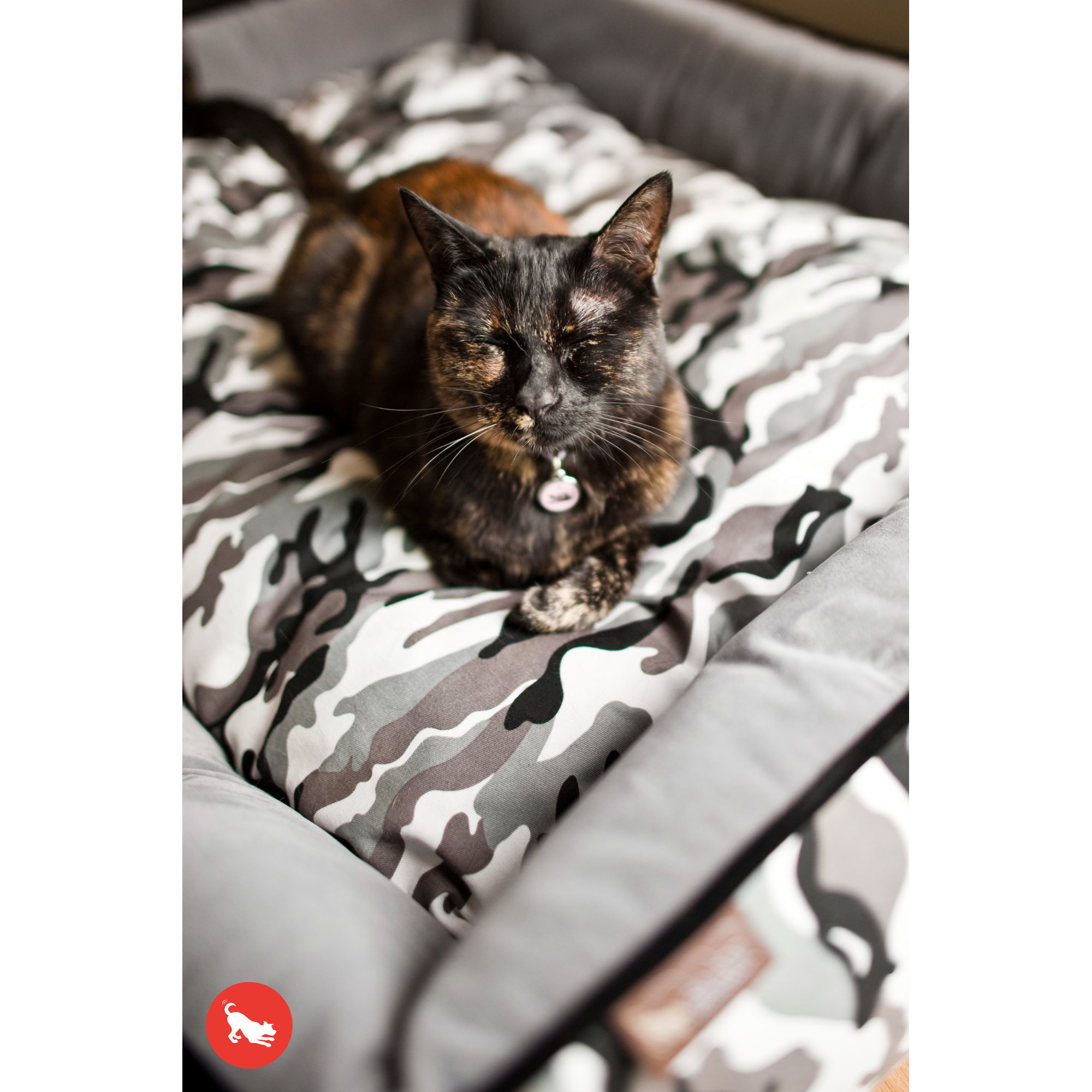 P.L.A.Y. Original Camouflage Lounge Dog Sofa & Reviews Wayfair