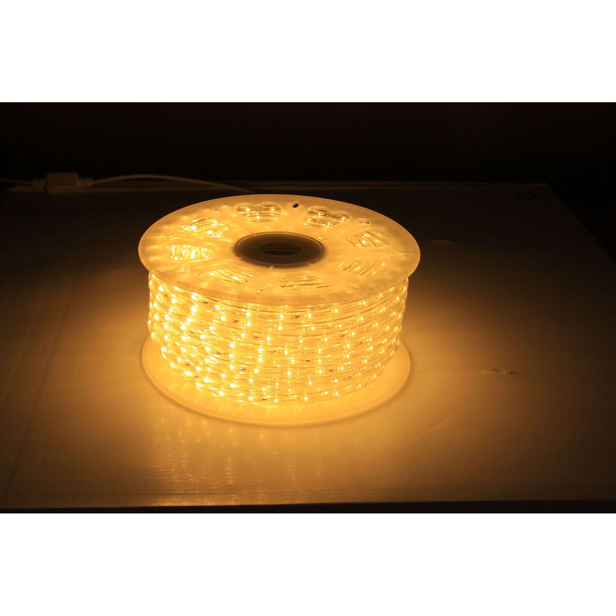 American Lighting LLC 6 ft.LED Rope Light & Reviews Wayfair