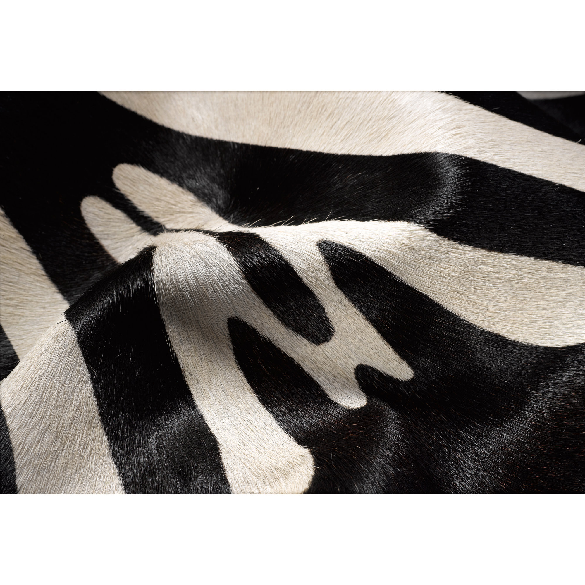 Natural Rugs Togo Black/OffWhite Zebra Rug & Reviews Wayfair