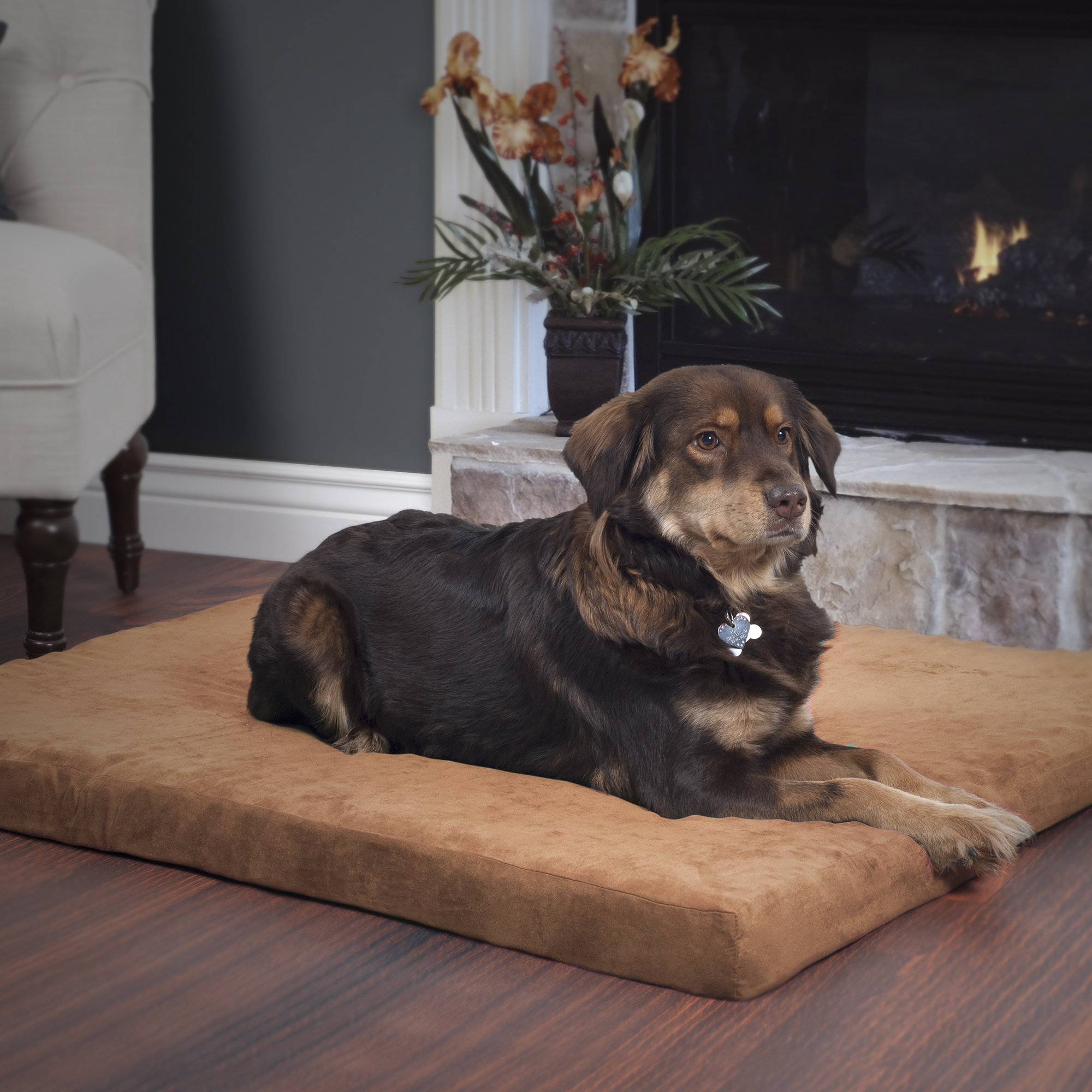 PAW Orthopedic Super Foam Dog Pillow & Reviews Wayfair