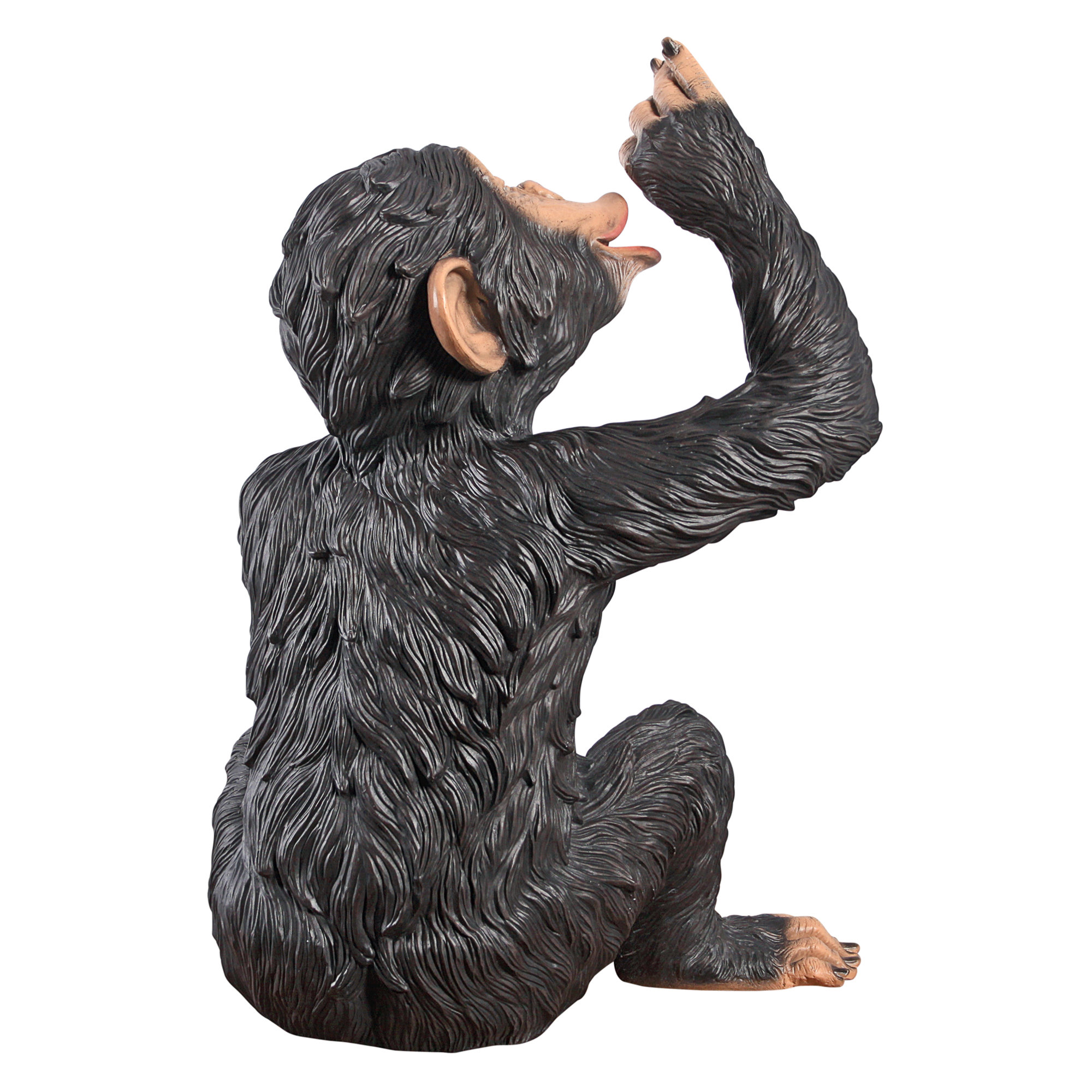 Design Toscano Anisetta Liqueur Drinking Monkey Statue & Reviews Wayfair