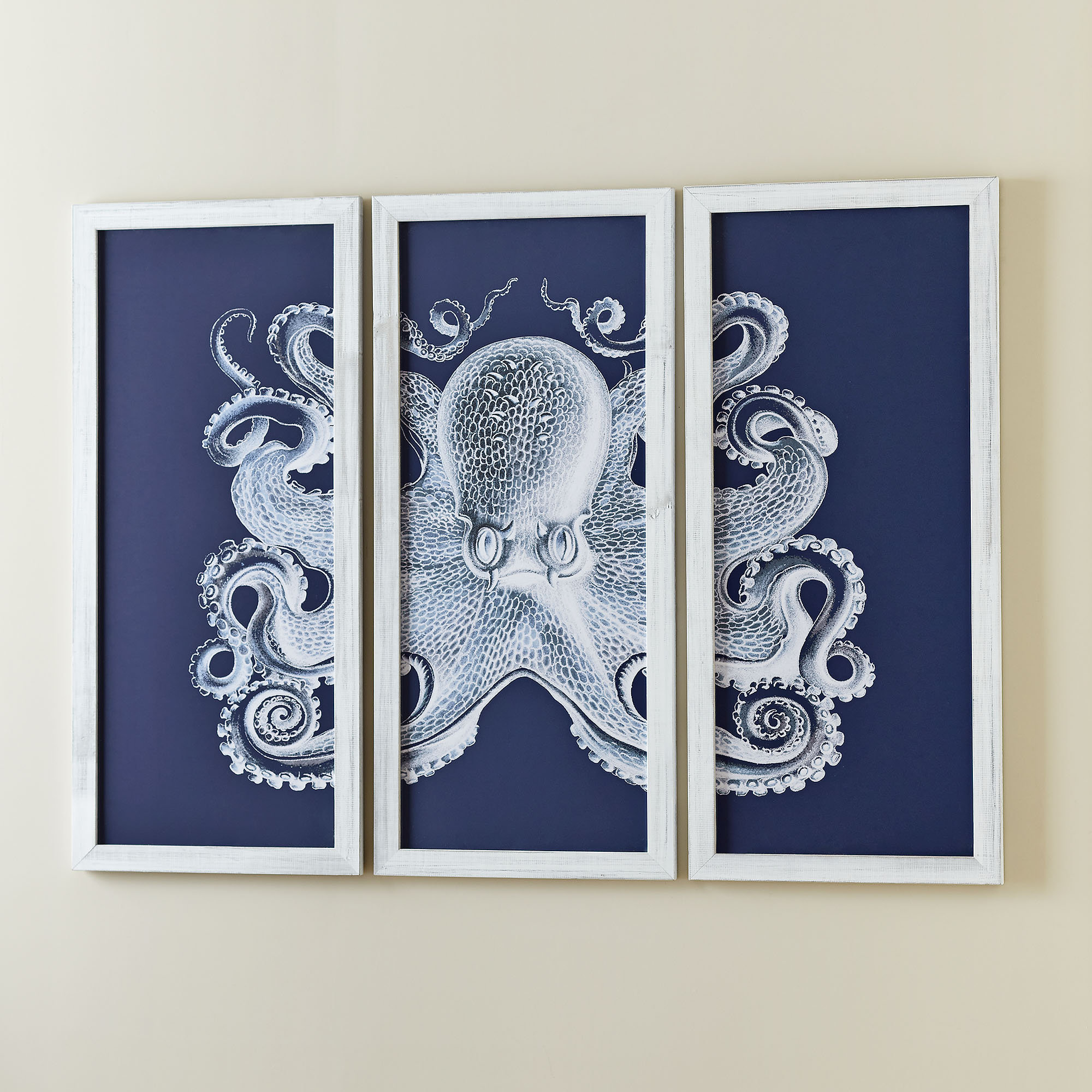 Octopus Triptych Framed Print & Reviews Birch Lane