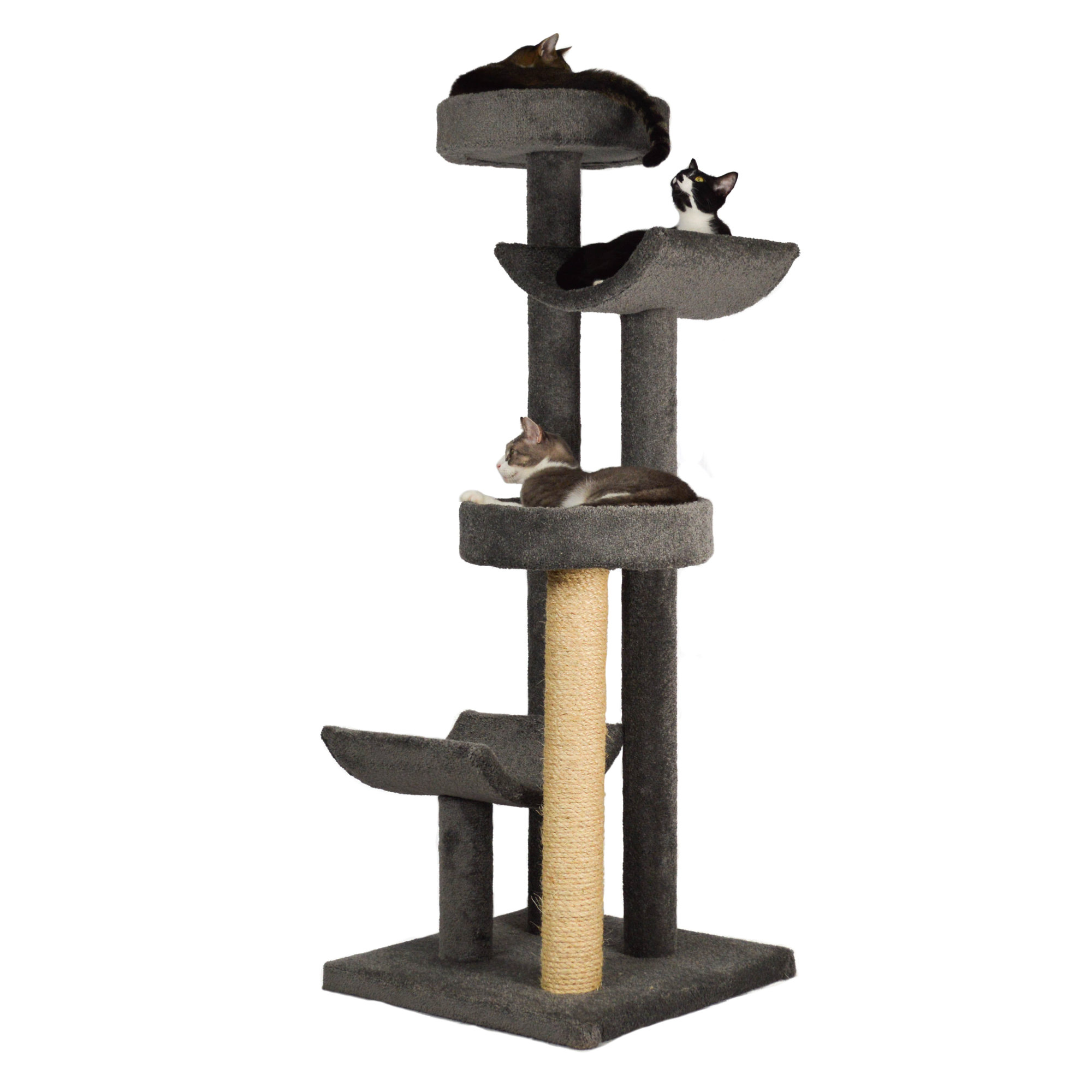 Molly and Friends 66" Bed and Cradle Cat Tree & Reviews Wayfair