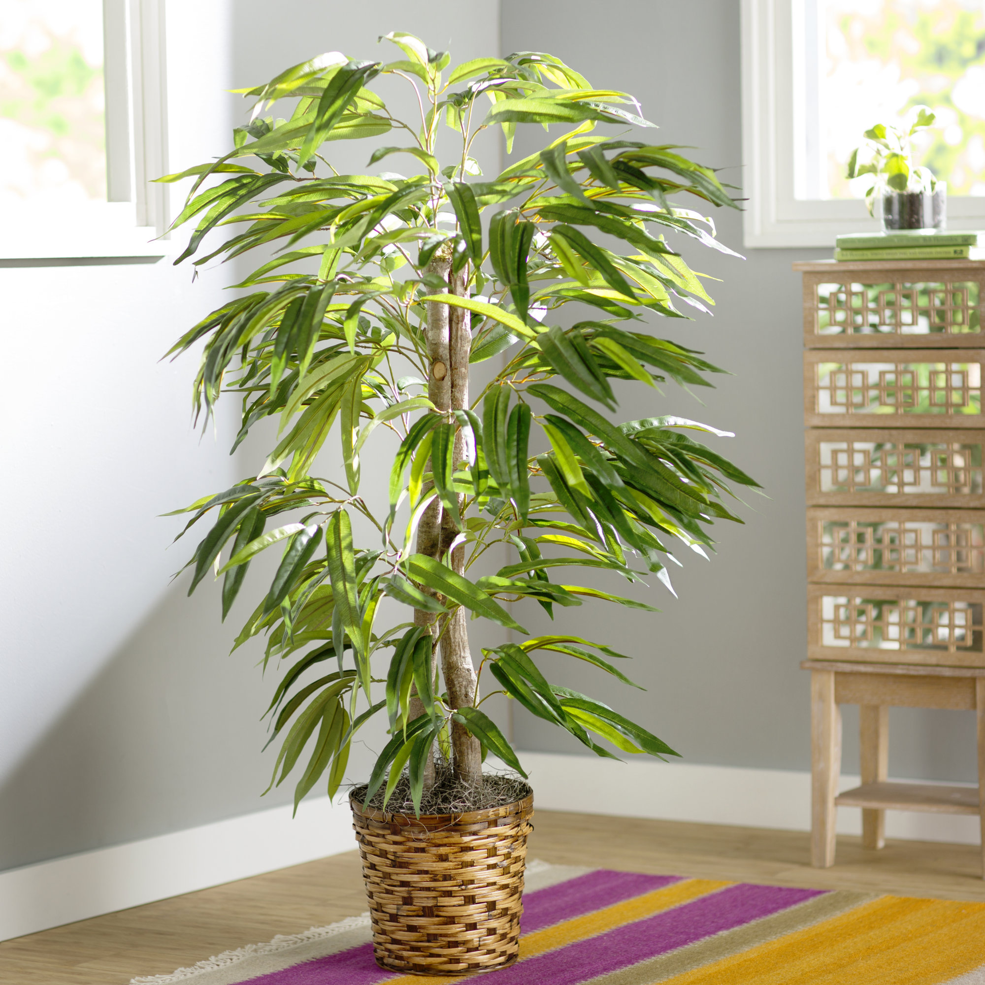 Vickerman Deluxe Artificial Potted Natural Mango Tree in Basket