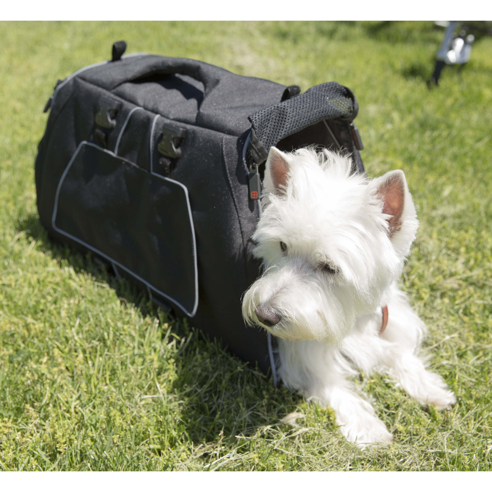 PetEgo Jet Set Pet Carrier & Reviews Wayfair