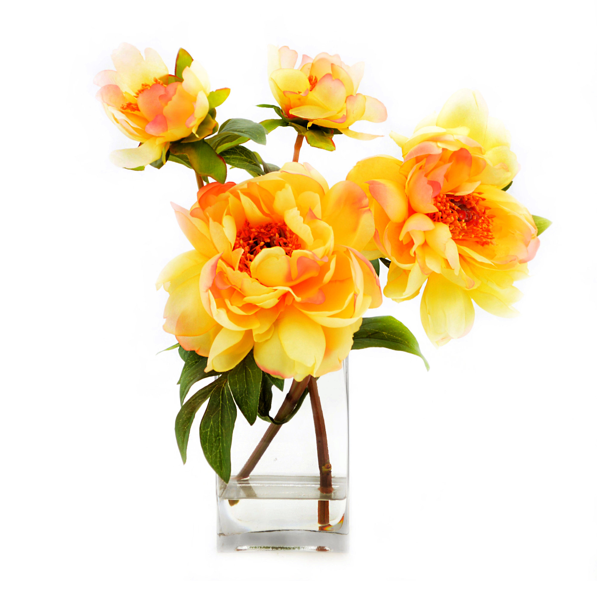Bay Isle Home Yellow Peony Arrangement & Reviews Wayfair