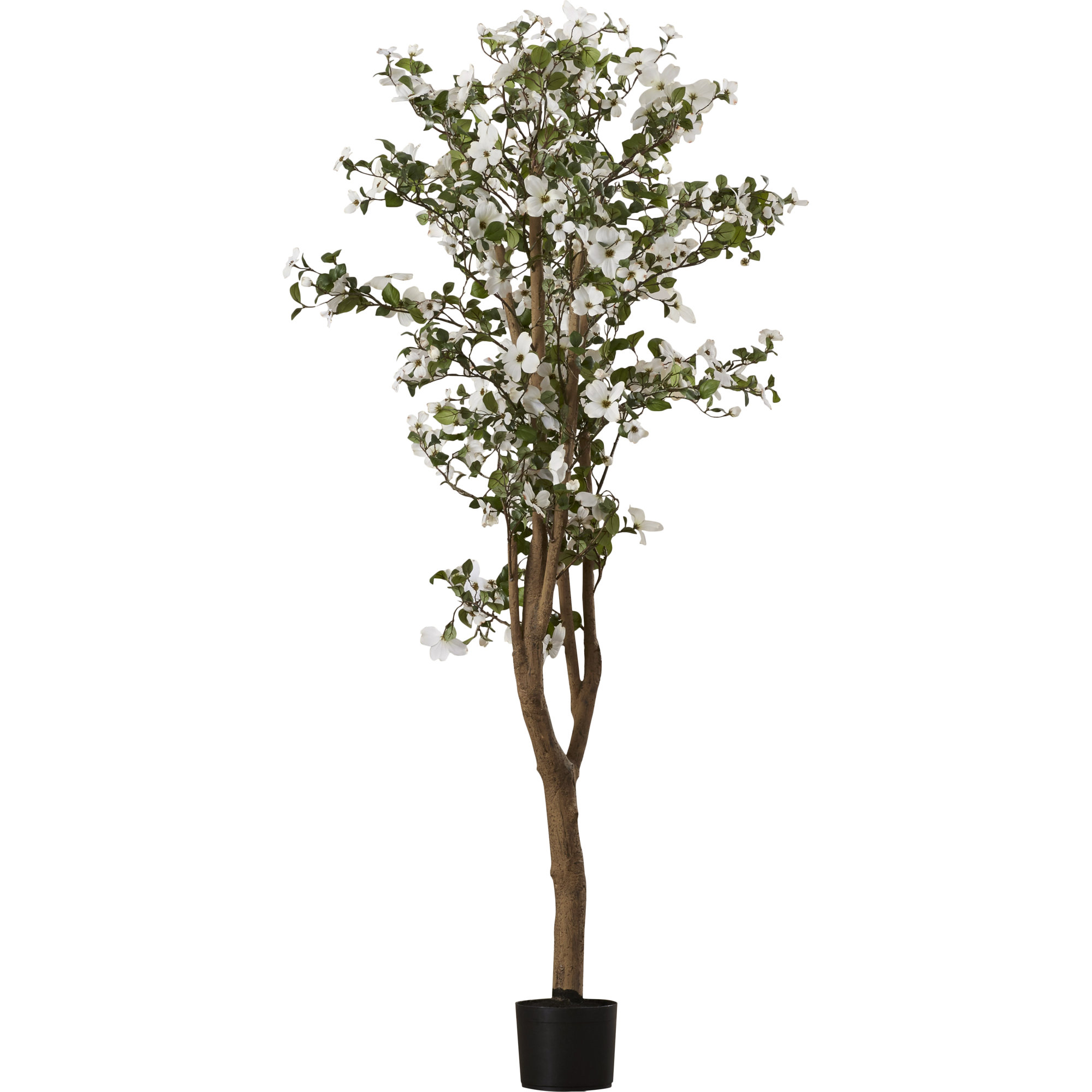 Red Barrel Studio Silk Dogwood Tree in Pot & Reviews Wayfair