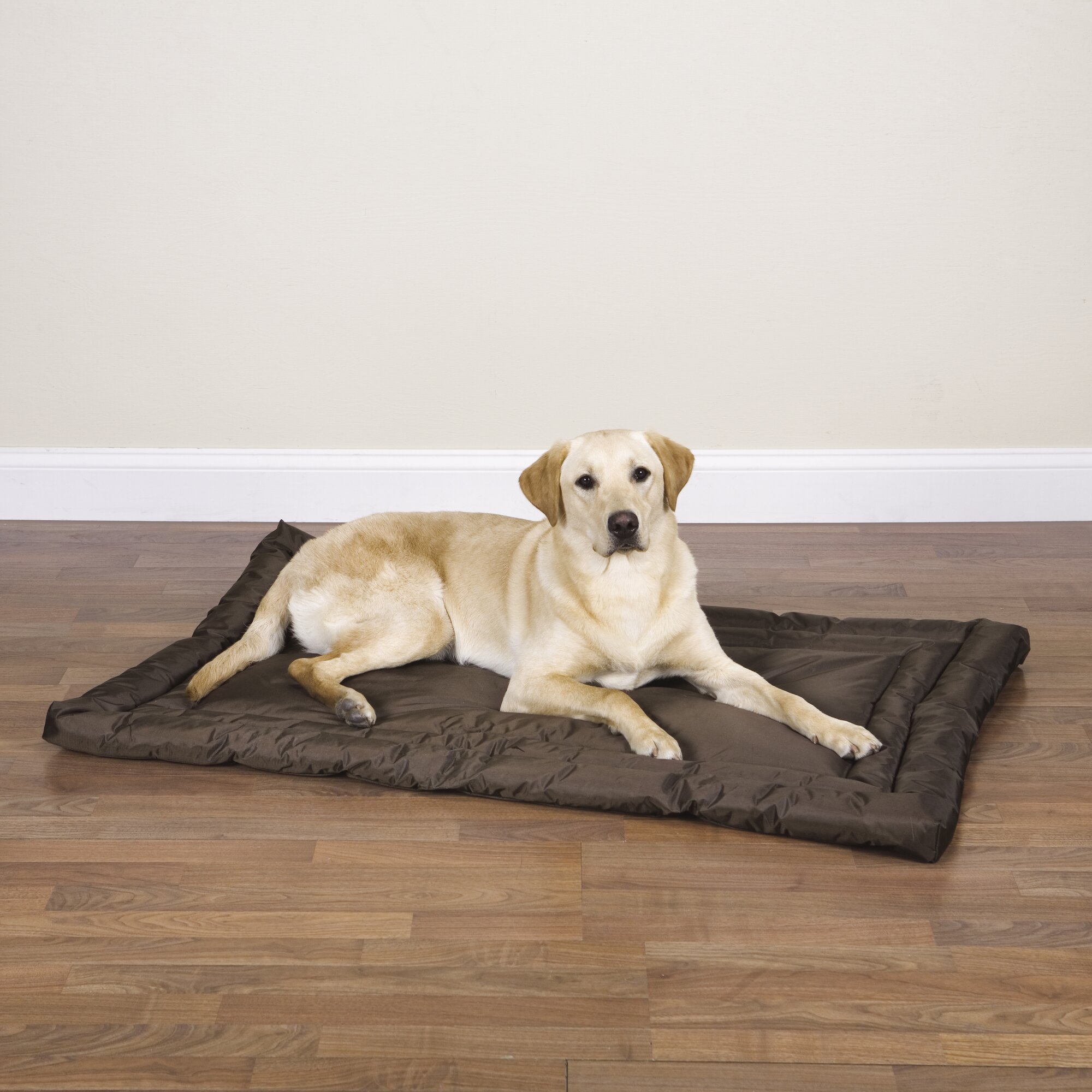 Slumber Pet Water Resistant Dog Mat & Reviews Wayfair