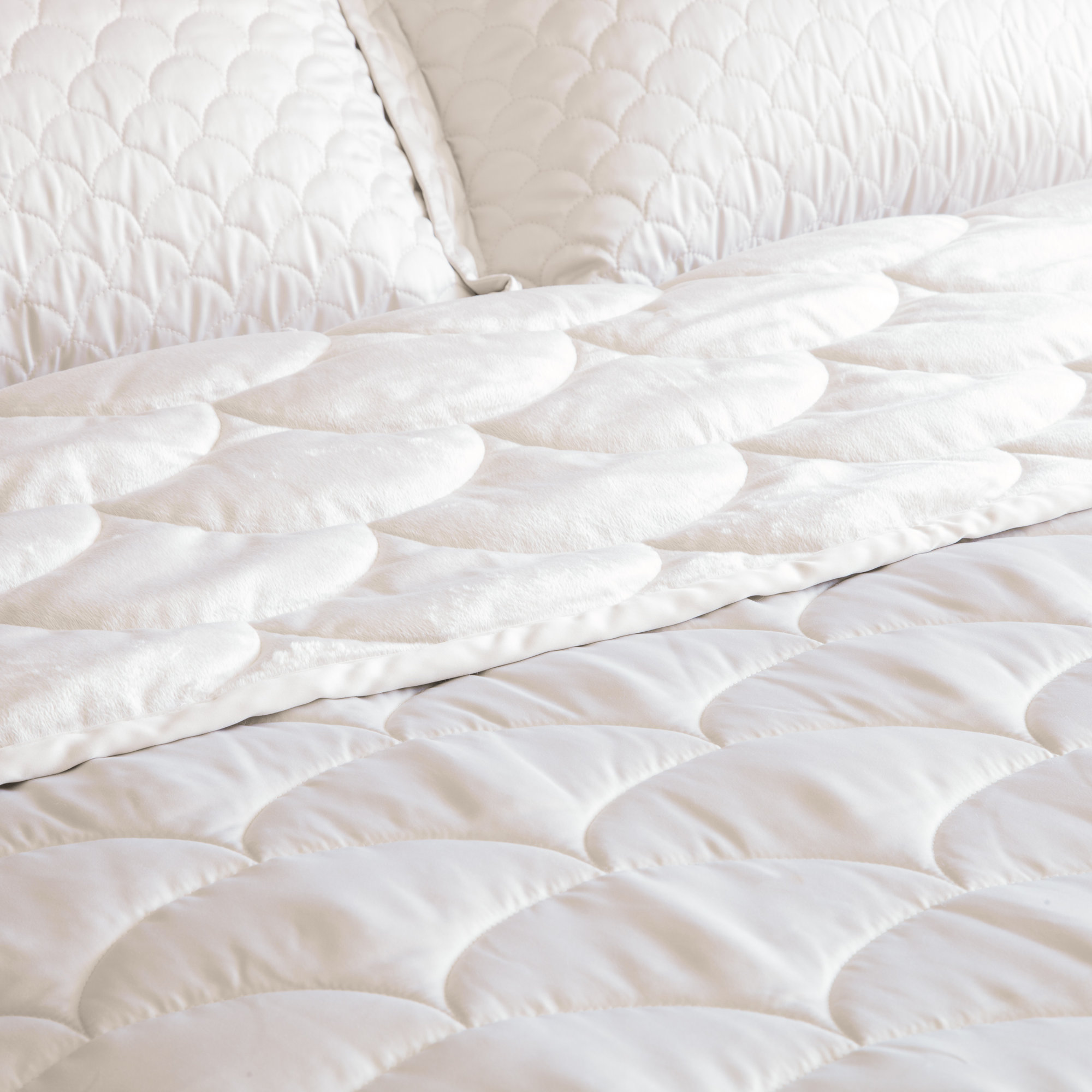 Nikki Chu Down Alternative Blanket & Reviews Wayfair