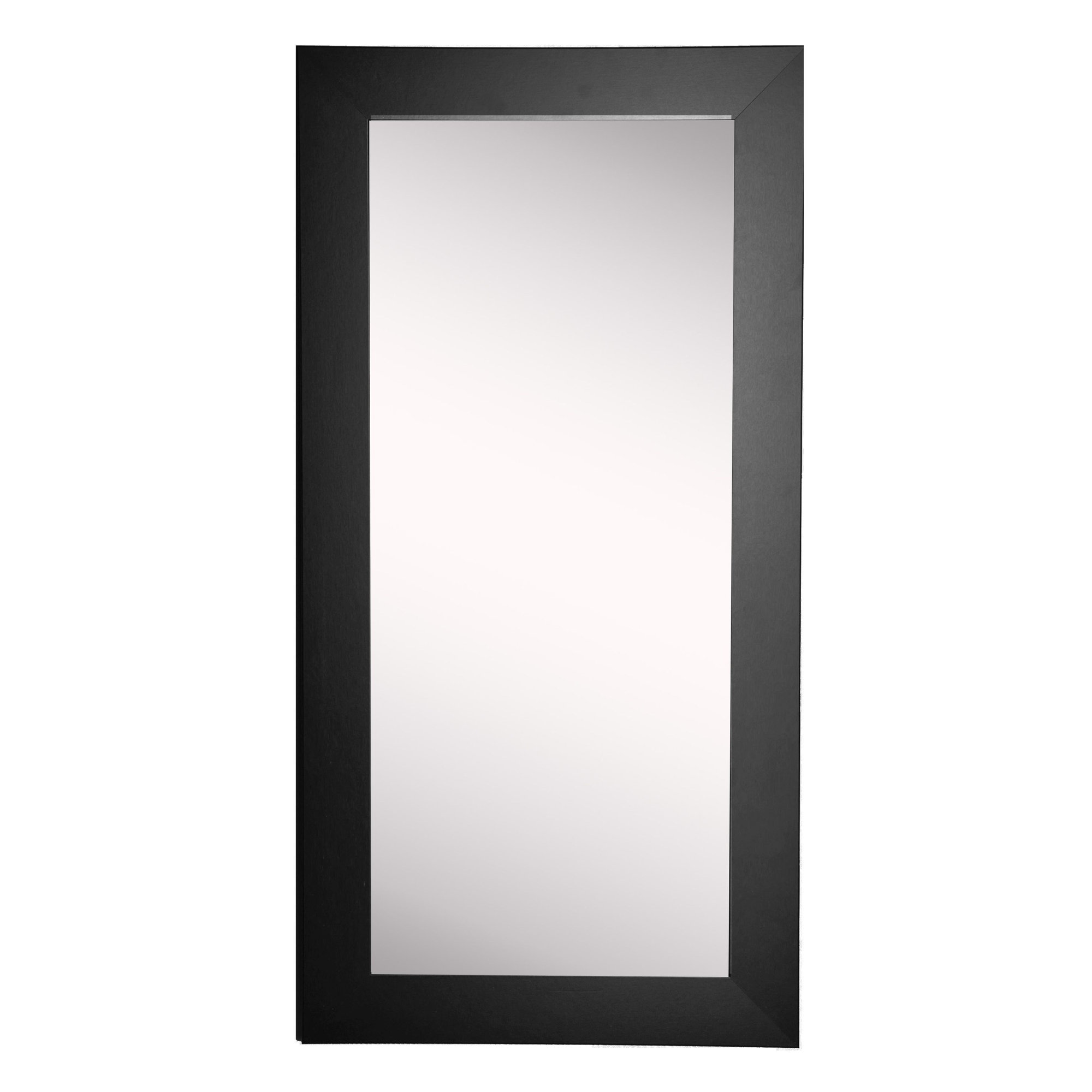 Wide Tall Mirror & Reviews AllModern