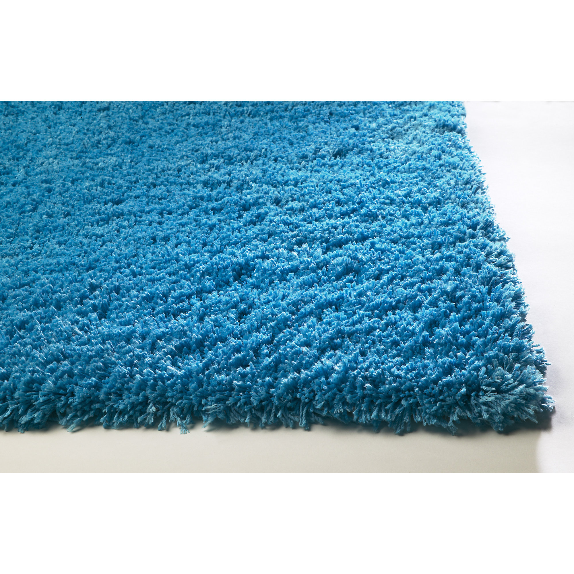 Shaggy Blue Rug & Reviews Birch Lane