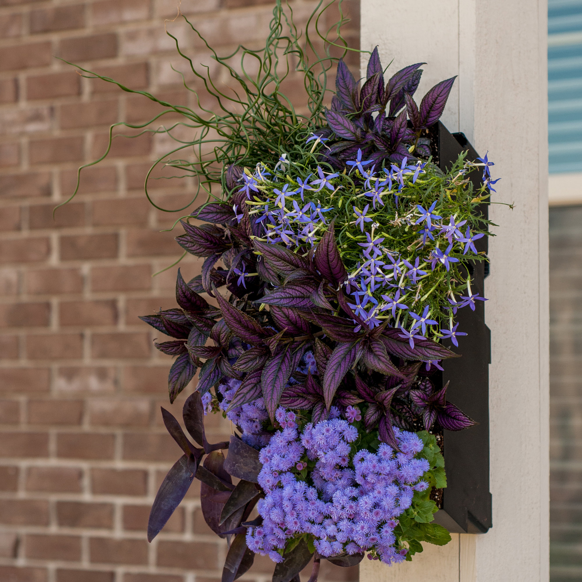 Bright Green Grovert Plastic Wall Planter & Reviews Wayfair