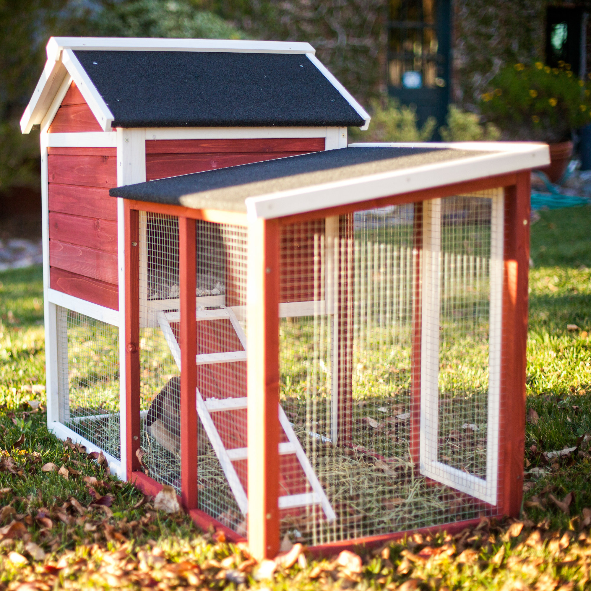Advantek The Stilt House Rabbit Hutch & Reviews Wayfair