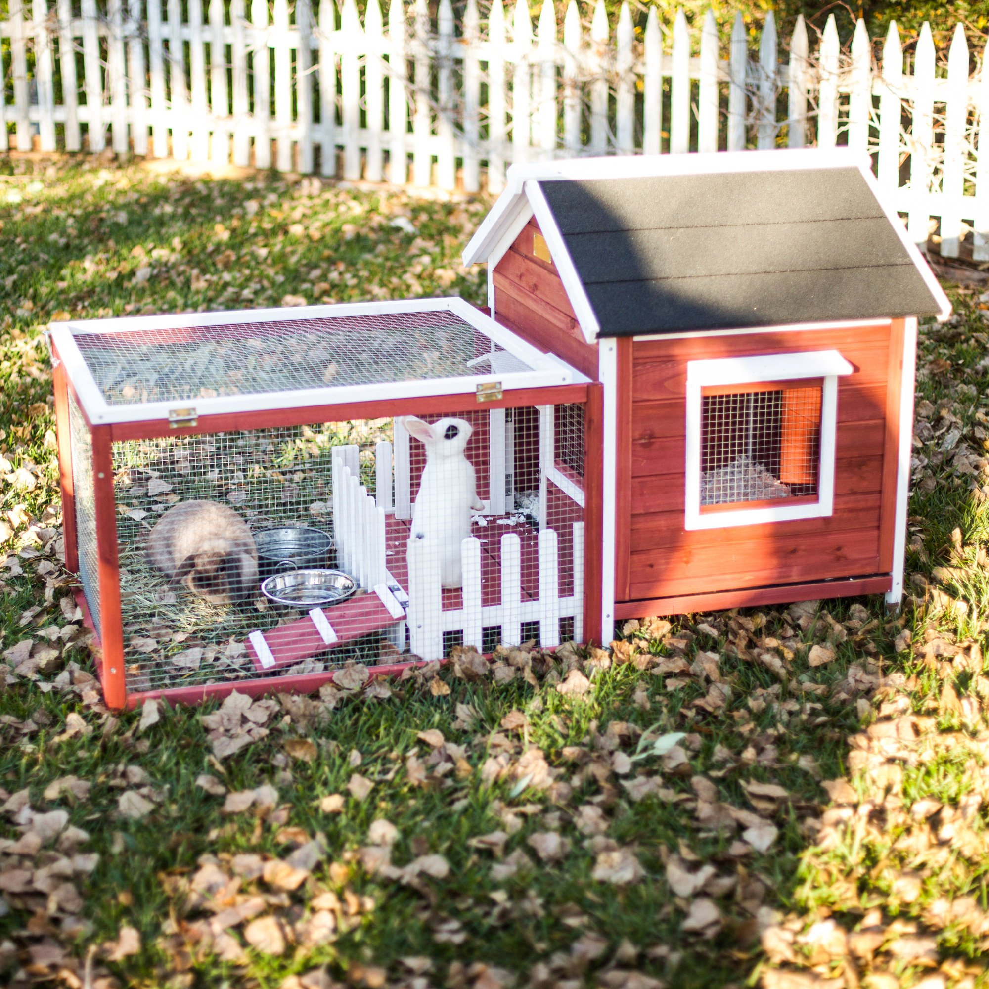 Advantek The White Picket Fence Rabbit Hutch & Reviews Wayfair