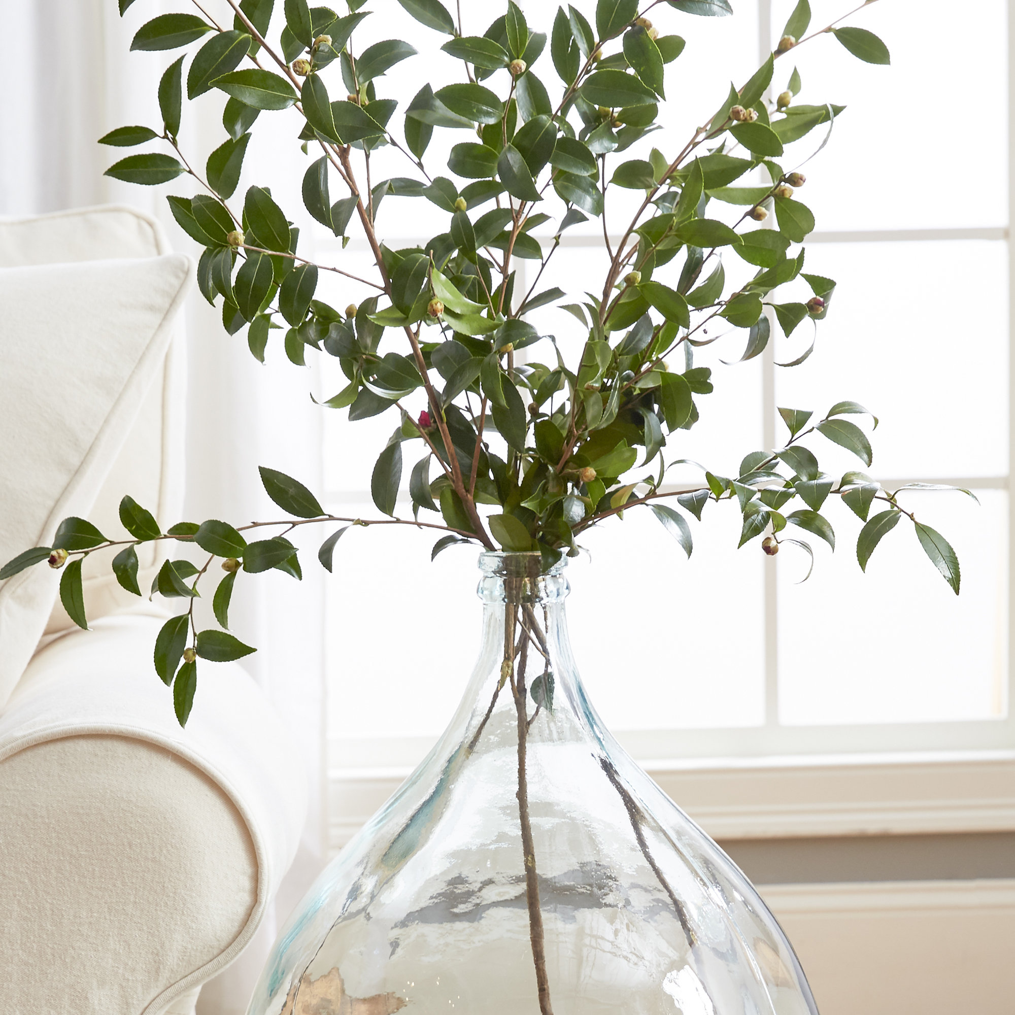 Clear Glass Decorative Floor Vase & Reviews Birch Lane