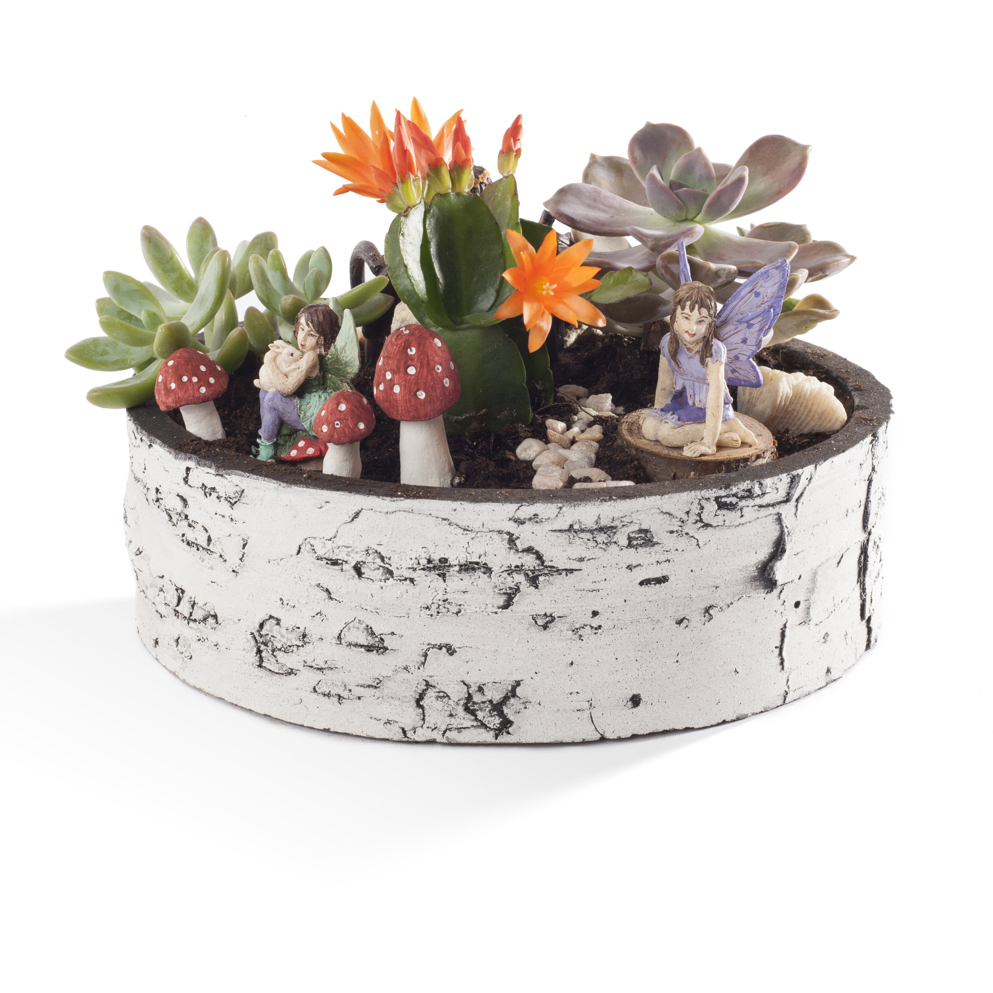 Surreal Birch Succulent Polyurethane Foam Pot Planter & Reviews