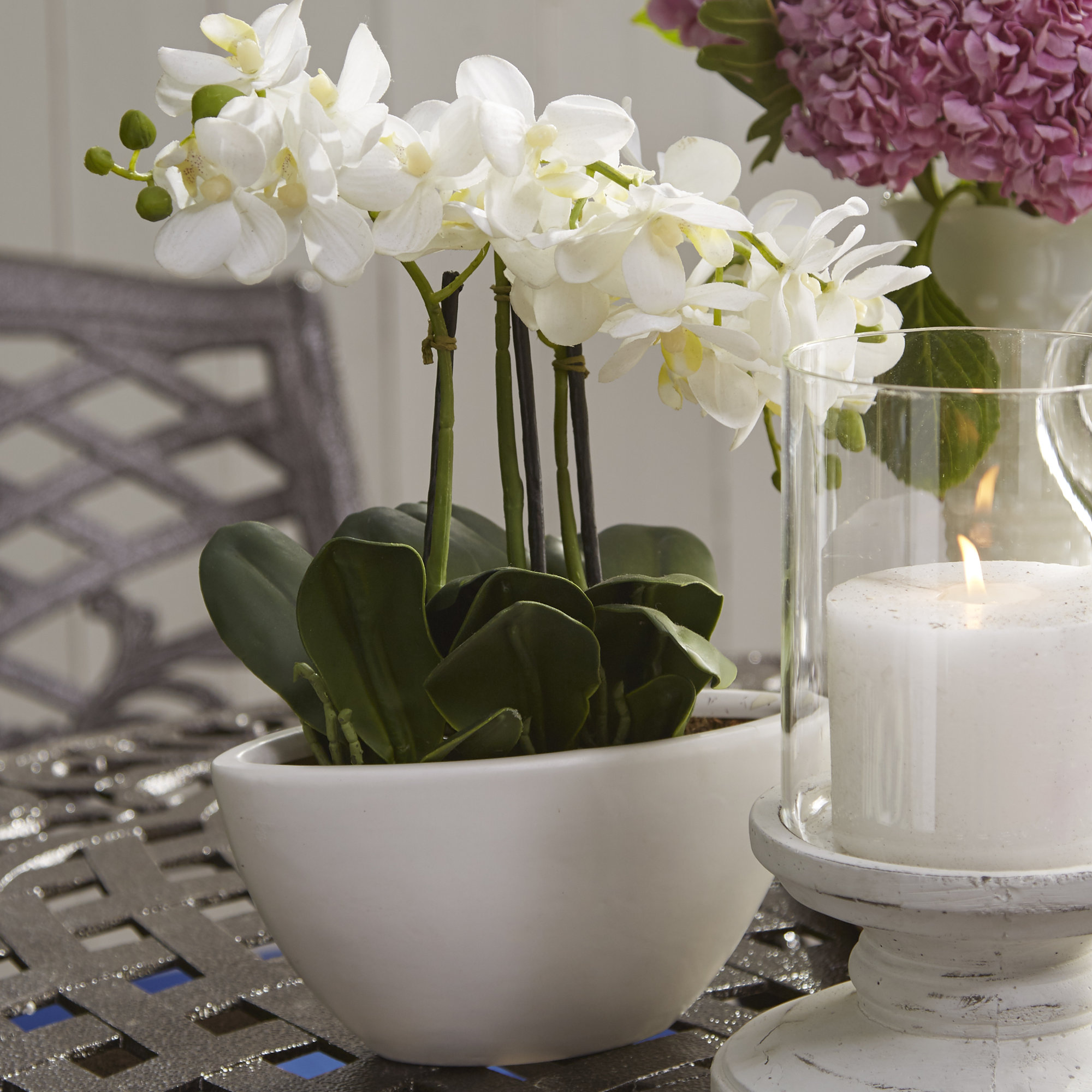 House of Hampton Lorelei Phalaenopsis Silk Flowers in Pot & Reviews