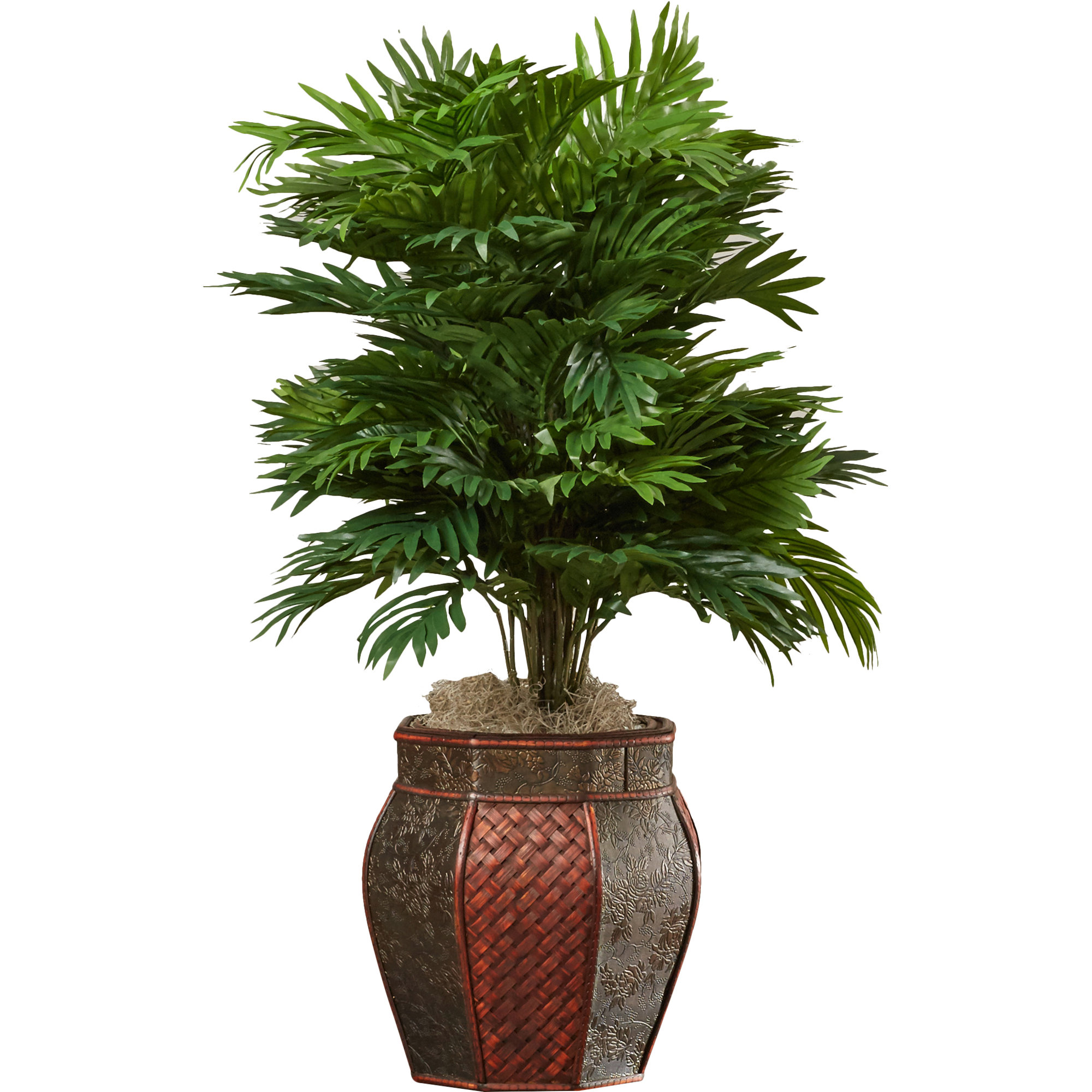 Areca Palm Floor Plant with Decorative Vase & Reviews Birch Lane