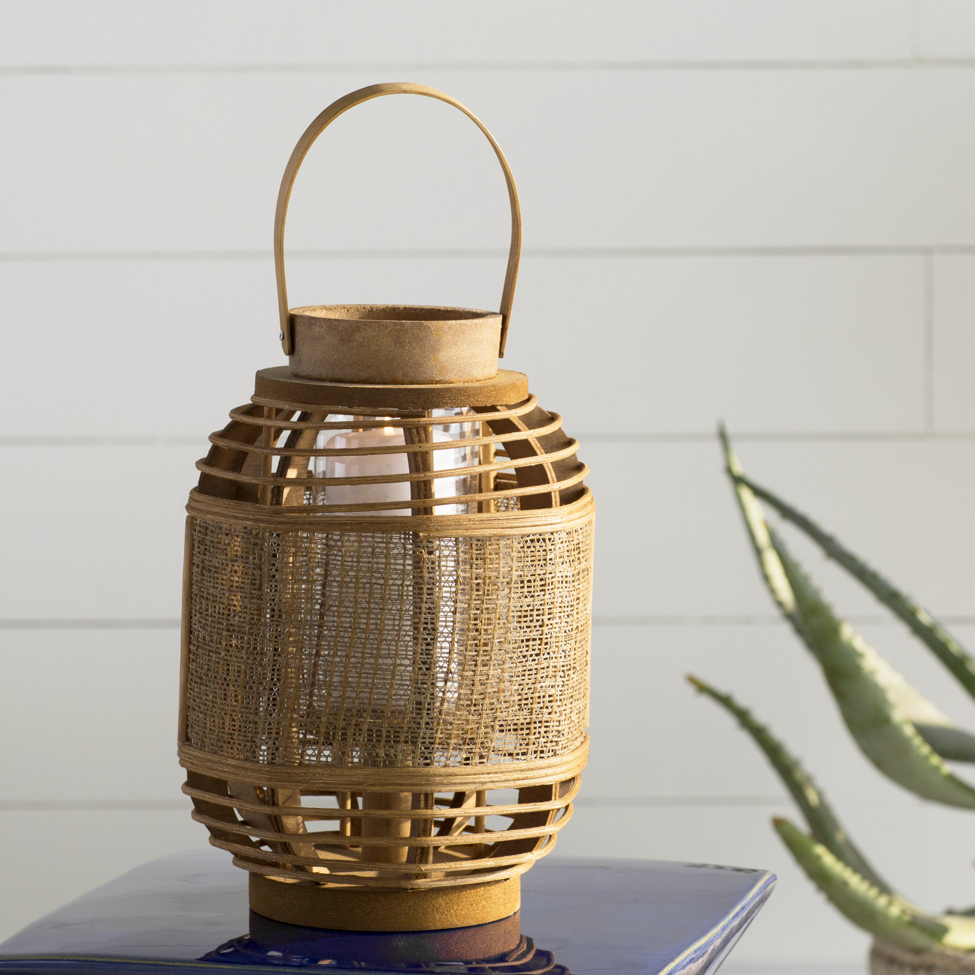 Zingz & Thingz Bamboo Garden Bamboo Lantern & Reviews Wayfair