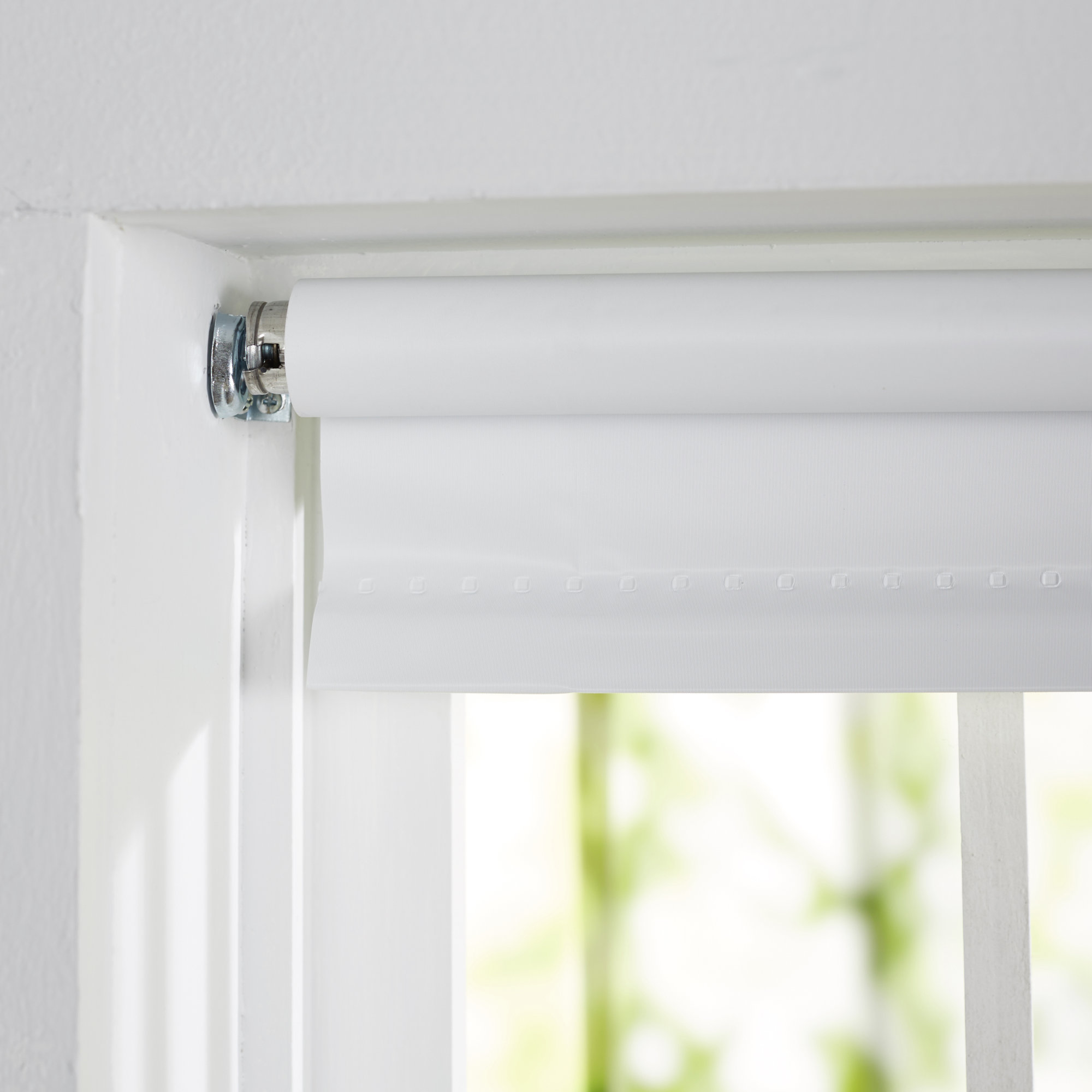 Wayfair Basics™ Wayfair Basics Cords Free Tear Down Window Roller Shade