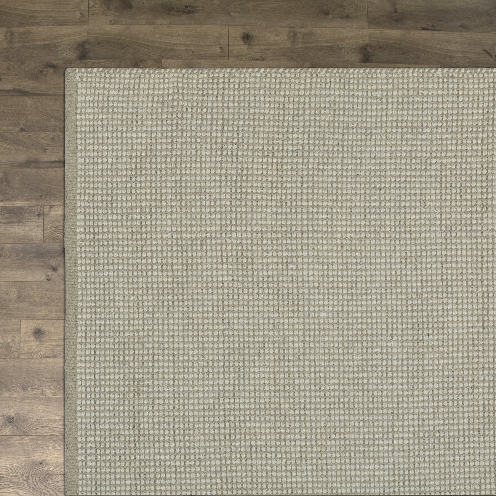 Ollie Taupe Rug Birch Lane