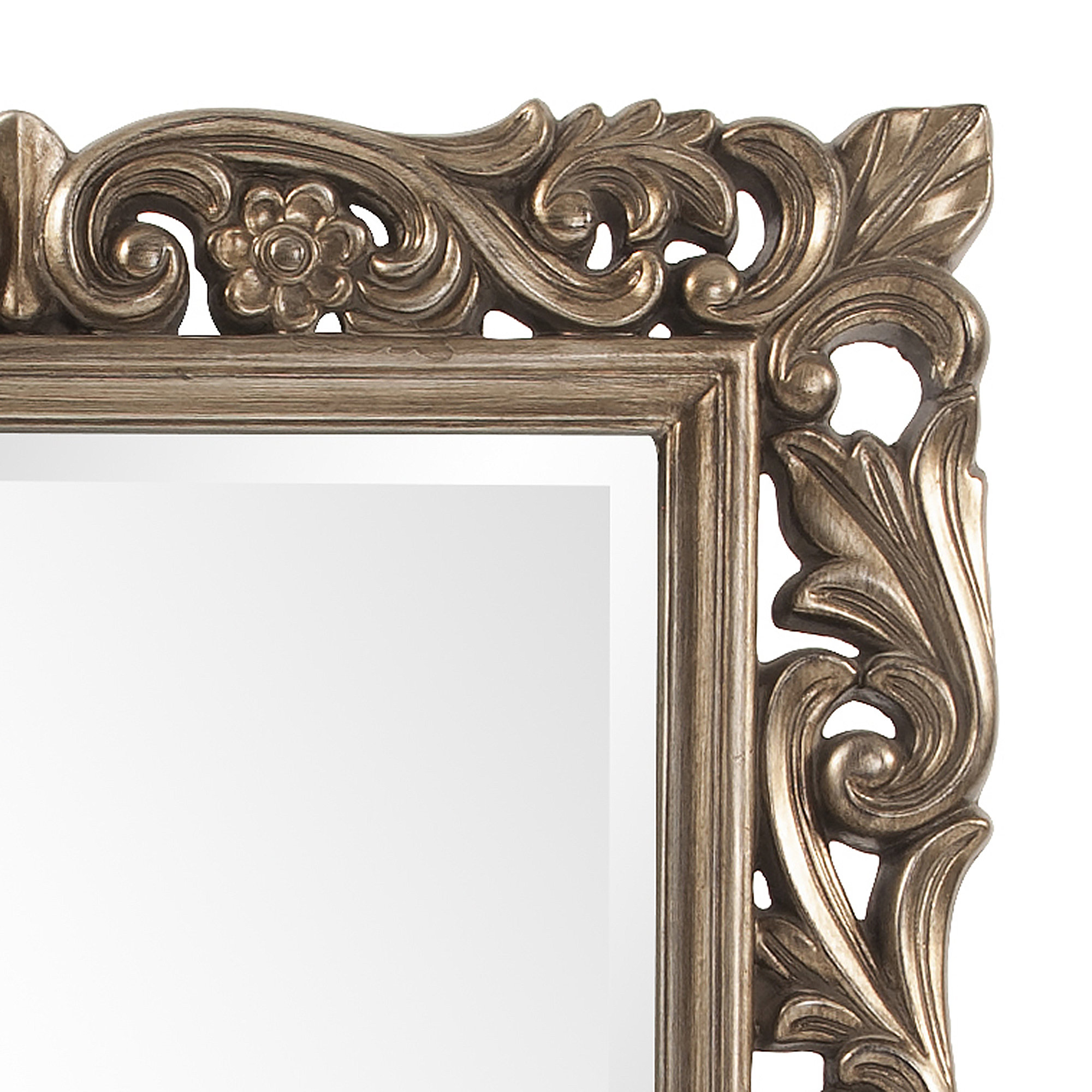 Astoria Grand Rectangle Resin Frame Mirror & Reviews Wayfair