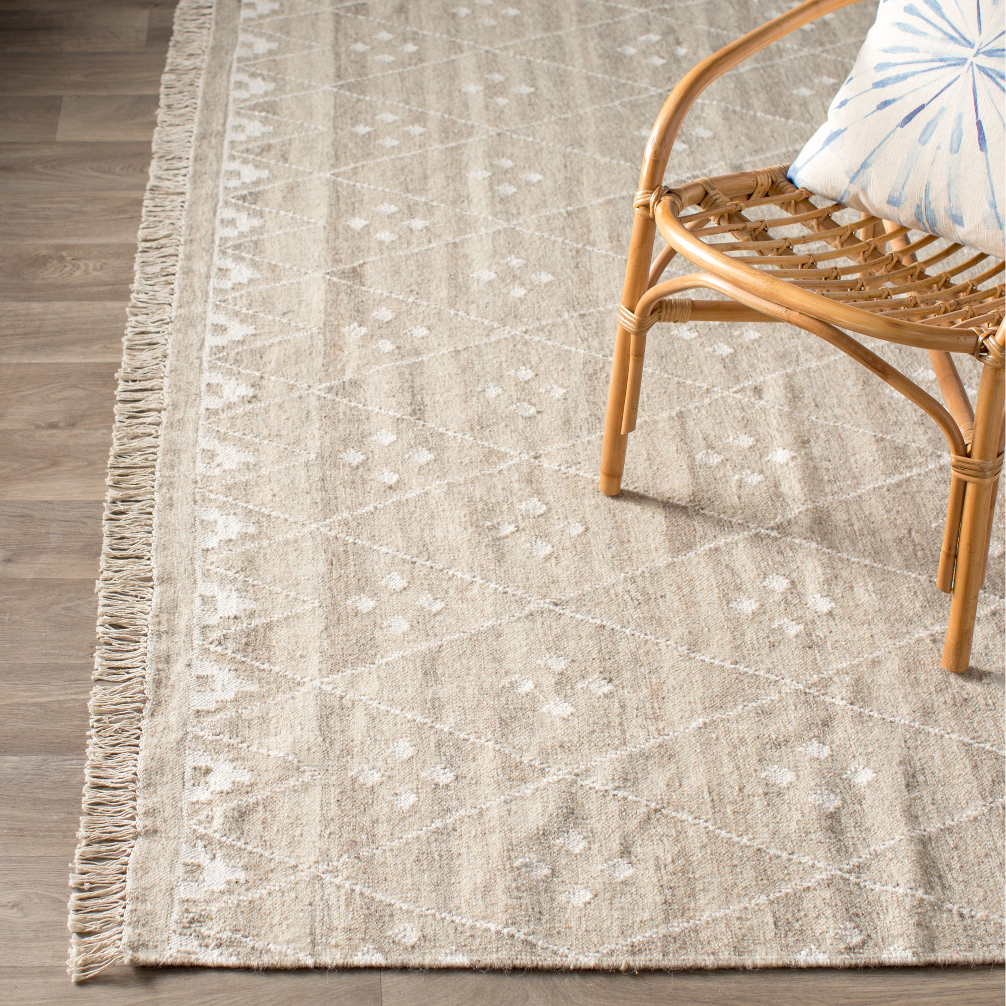 Langley Street Aldergrove Area Rug Reviews Wayfair Aldergrove Area Rug