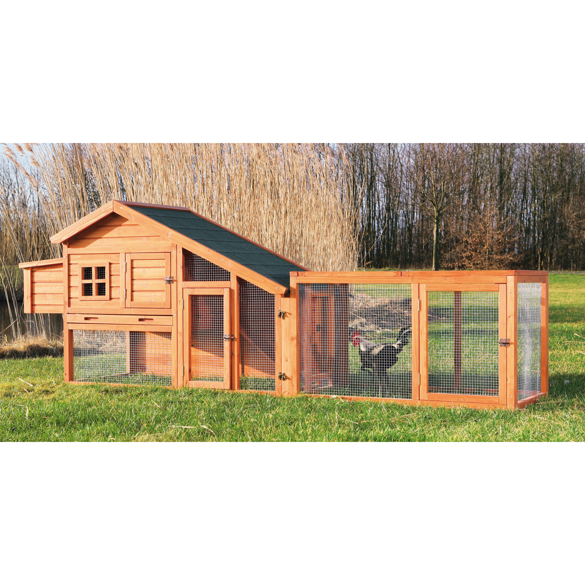 Trixie Trixie Outdoor Chicken Run with Mesh Cover & Reviews Wayfair