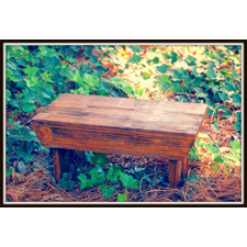 Outdoor Benches You'll Love | Wayfair