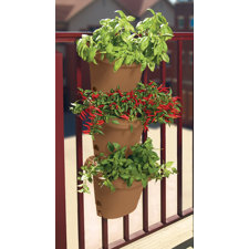 Wall Planters & Vertical Gardens You'll Love