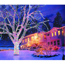 Alle Weihnachtsbeleuchtungen | Wayfair.de