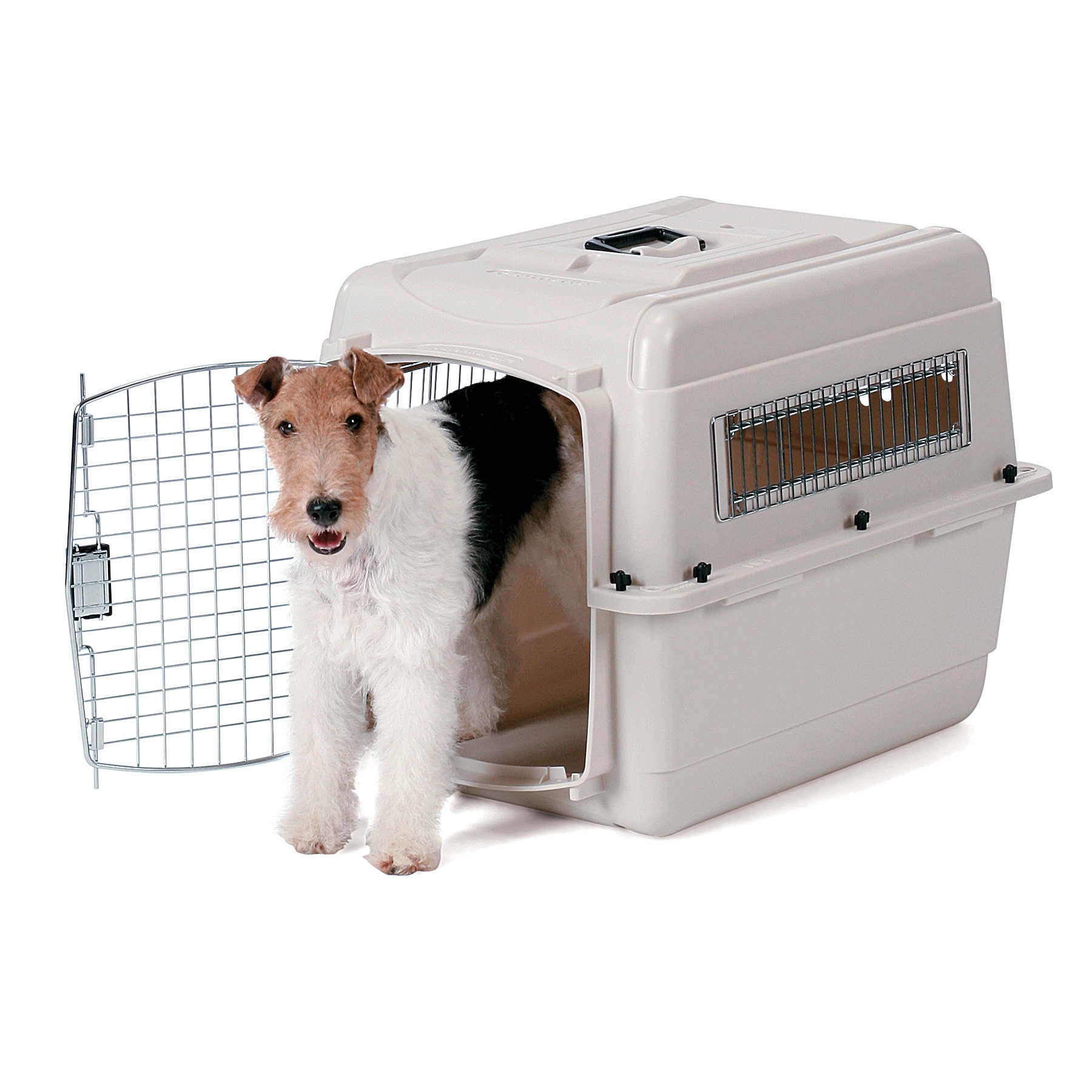 Petmate Vari Portable Small Pet Carrier & Reviews Wayfair