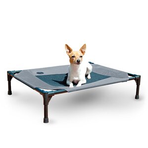 Shop 332 Extra Large Dog Beds | Wayfair