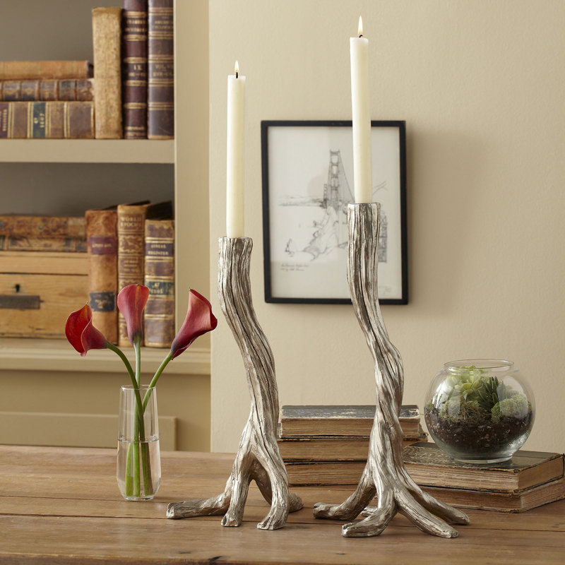 Tree Branch Candlesticks & Reviews Birch Lane