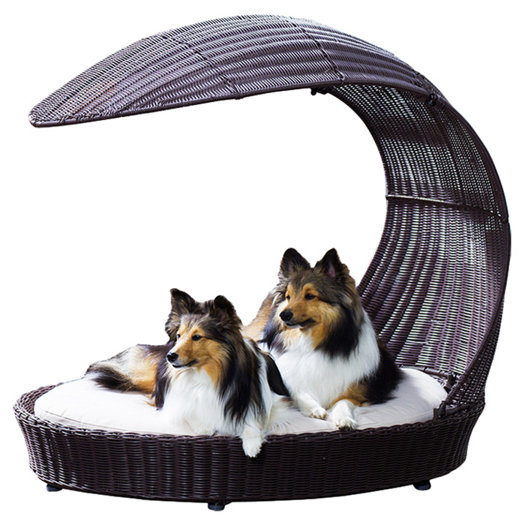 Outdoor Dog Chaise Lounge & Reviews AllModern