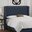 Wingback Headboards You'll Love | Wayfair