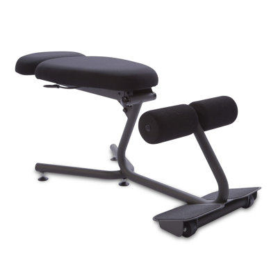 Posture Kneeling Chair health postures stance move kneeling chair & reviews | wayfair Posture Kneeling Chair health postures stance move kneeling chair & reviews | wayfair