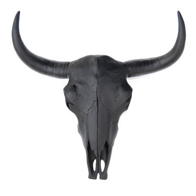 Bull Skull Wall Decor buffalo / bison skull head wall décor & reviews | allmodern Bull Skull Wall Decor buffalo / bison skull head wall décor & reviews | allmodern
