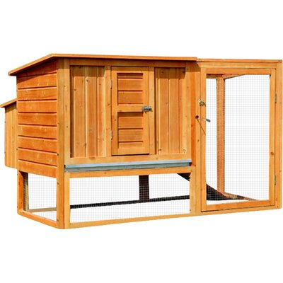 https://secure.img2-fg.wfcdn.com/lf/49/hash/37718/32262537/1/Pawhut-Chicken-Coop-Hen-House-with-Nesting-Box-and-Outdoor-Run.jpg