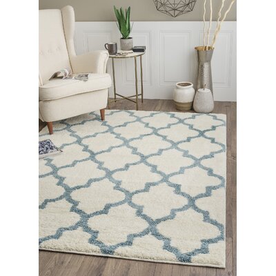 light blue rug with white trim