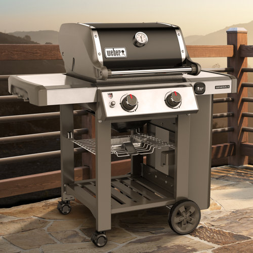 er Genesis II E210 2Burner Propane Gas Grill with Side Shelves