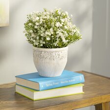  Gwinn Mixed Mini Daisy Silk Desk Top Plant in Pot  Wildon Home ® 