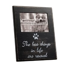 Pet Picture Frames You'll Love | Wayfair