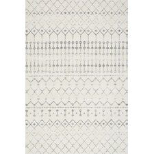 2' x 3' Area Rugs