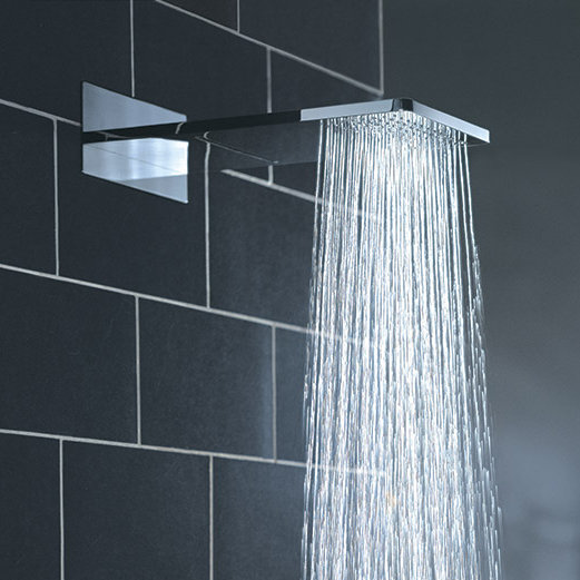 Kascade Dual Function Shower Head & Reviews AllModern