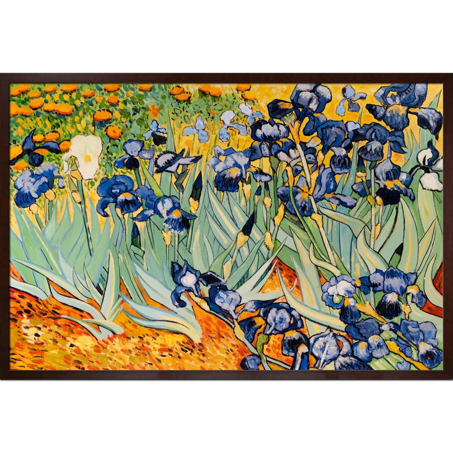 Tori Home Irises by Vincent Van Gogh Framed Original ...